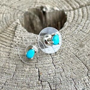 NEW! Sleeping Beauty Turquoise Earrings